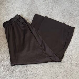 Express satin / silk pant